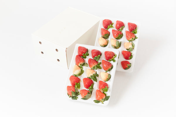 【紅白】いちご食べくらべ-DXセット – フルーツギフト専門店